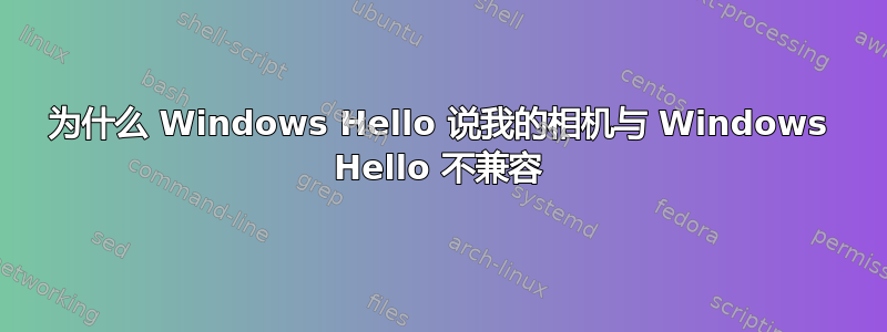 为什么 Windows Hello 说我的相机与 Windows Hello 不兼容