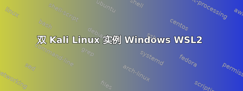 双 Kali Linux 实例 Windows WSL2