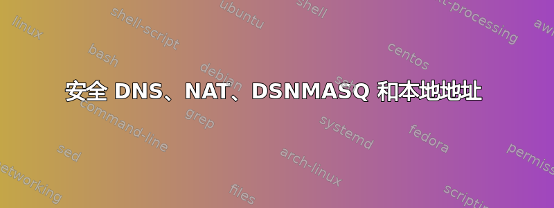 安全 DNS、NAT、DSNMASQ 和本地地址