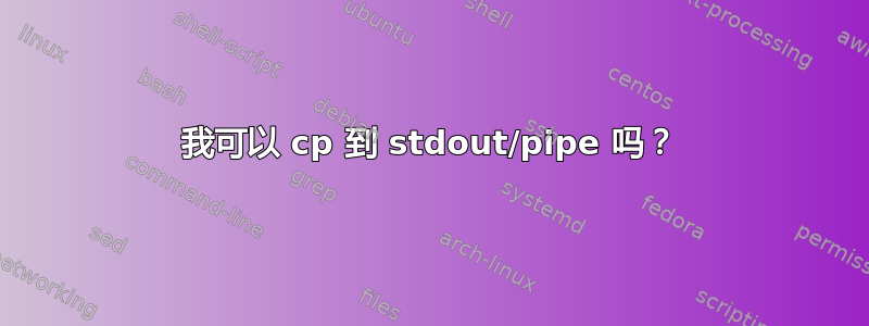 我可以 cp 到 stdout/pipe 吗？