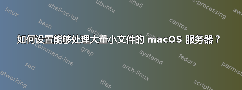 如何设置能够处理大量小文件的 macOS 服务器？