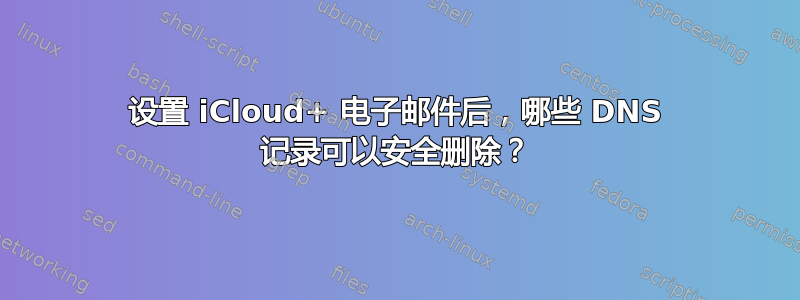 设置 iCloud+ 电子邮件后，哪些 DNS 记录可以安全删除？