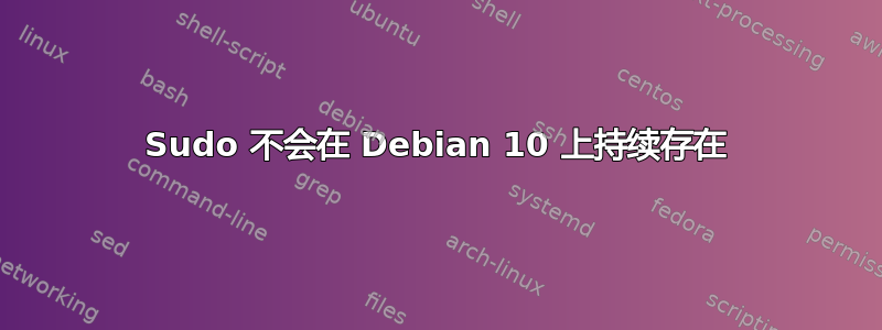 Sudo 不会在 Debian 10 上持续存在