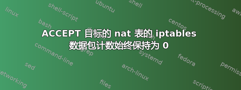 ACCEPT 目标的 nat 表的 iptables 数据包计数始终保持为 0