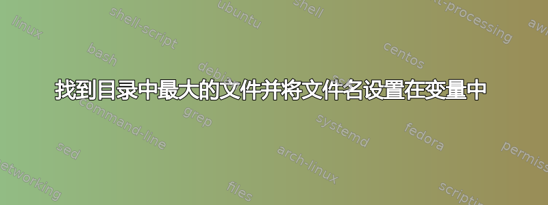 找到目录中最大的文件并将文件名设置在变量中