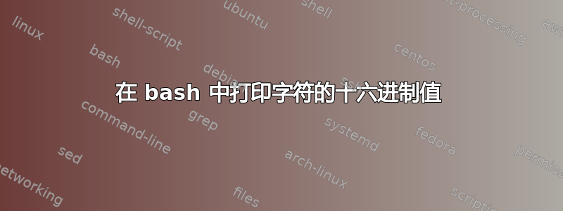 在 bash 中打印字符的十六进制值