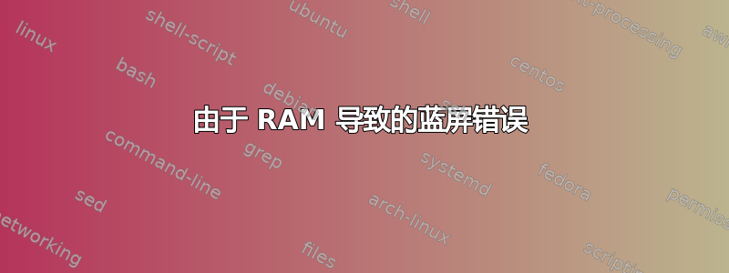 由于 RAM 导致的蓝屏错误