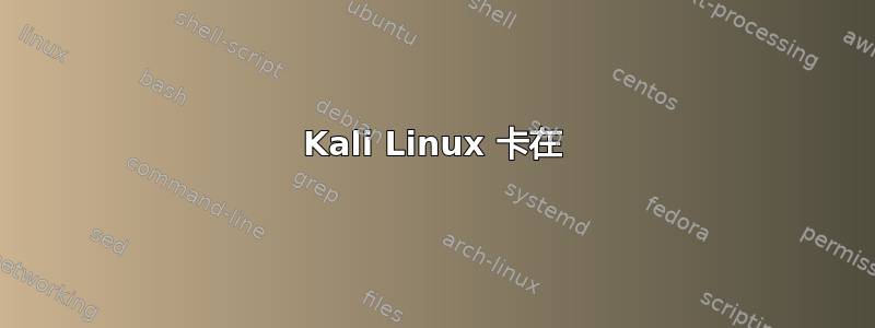 Kali Linux 卡在