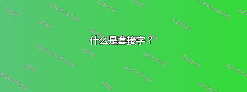 什么是套接字？