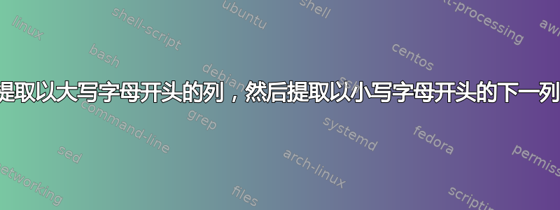 提取以大写字母开头的列，然后提取以小写字母开头的下一列