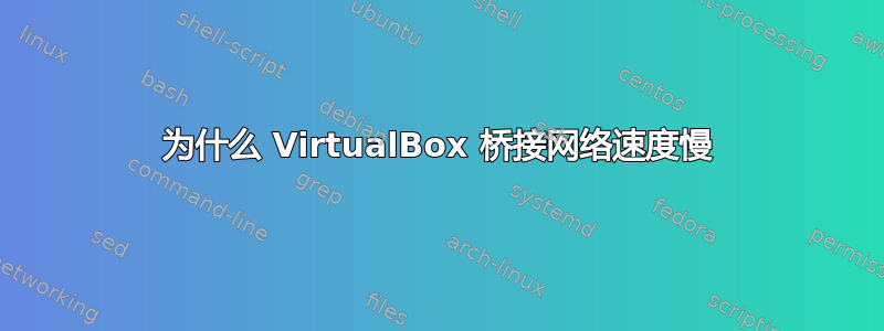 为什么 VirtualBox 桥接网络速度慢