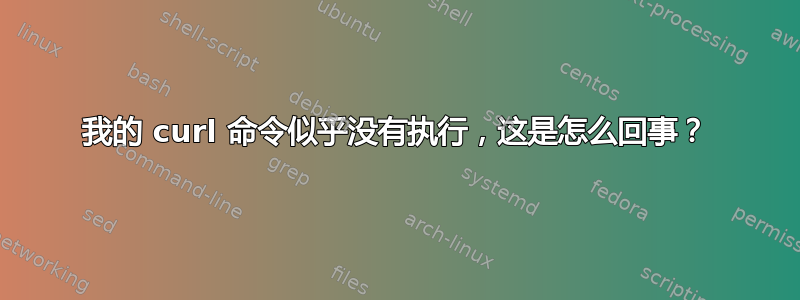 我的 curl 命令似乎没有执行，这是怎么回事？