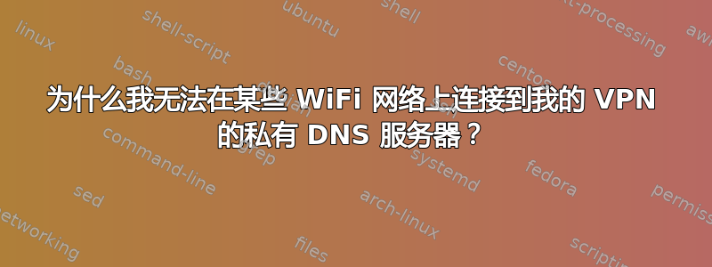 为什么我无法在某些 WiFi 网络上连接到我的 VPN 的私有 DNS 服务器？