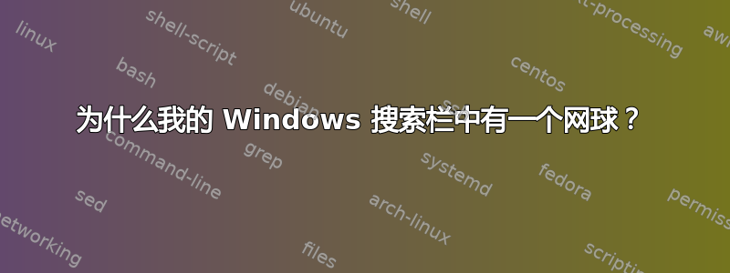 为什么我的 Windows 搜索栏中有一个网球？