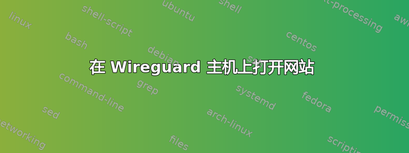 在 Wireguard 主机上打开网站