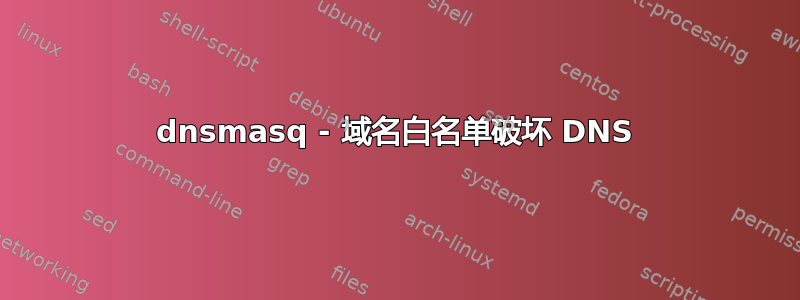 dnsmasq - 域名白名单破坏 DNS