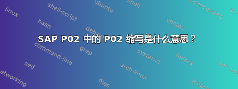 SAP P02 中的 P02 缩写是什么意思？