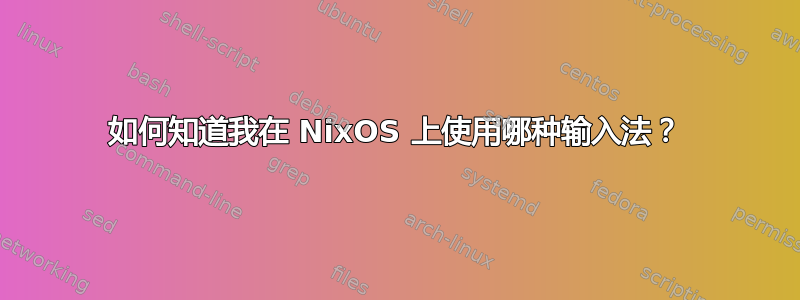 如何知道我在 NixOS 上使用哪种输入法？