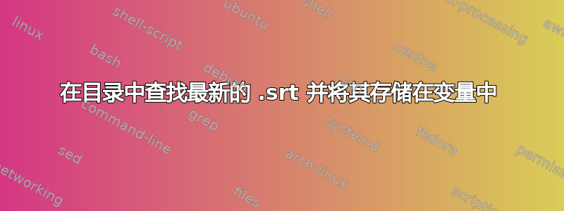 在目录中查找最新的 .srt 并将其存储在变量中