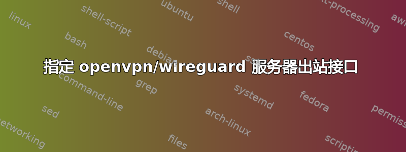 指定 openvpn/wireguard 服务器出站接口