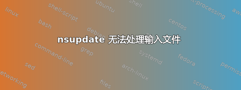 nsupdate 无法处理输入文件