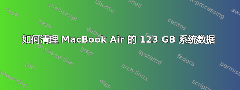 如何清理 MacBook Air 的 123 GB 系统数据