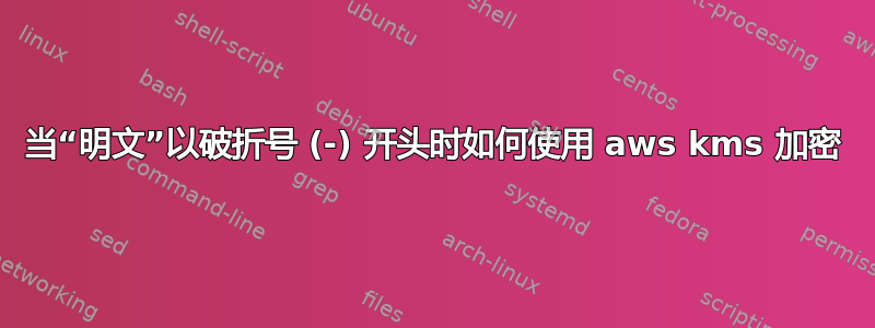 当“明文”以破折号 (-) 开头时如何使用 aws kms 加密