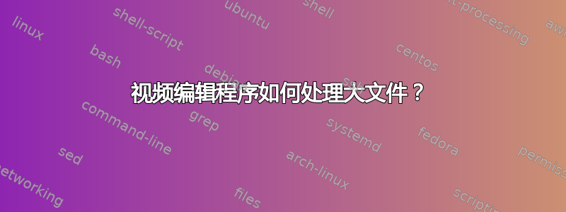 视频编辑程序如何处理大文件？