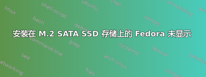 安装在 M.2 SATA SSD 存储上的 Fedora 未显示