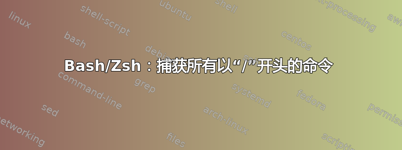 Bash/Zsh：捕获所有以“/”开头的命令