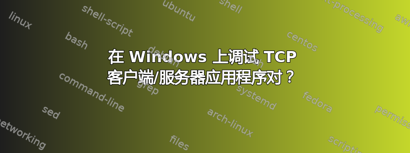 在 Windows 上调试 TCP 客户端/服务器应用程序对？