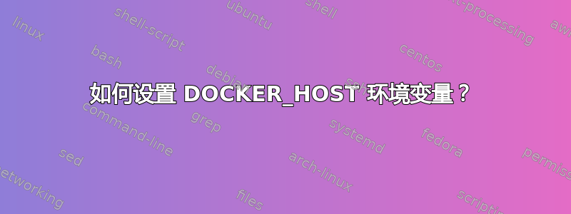 如何设置 DOCKER_HOST 环境变量？