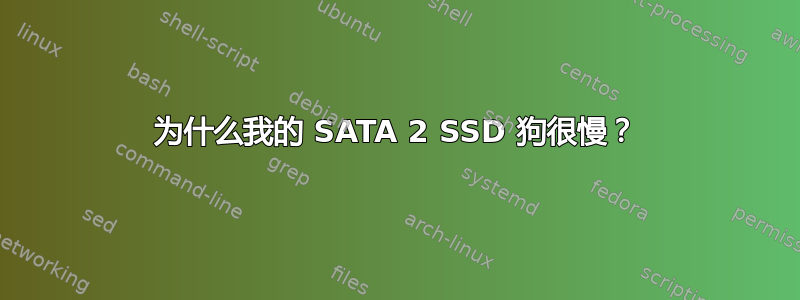 为什么我的 SATA 2 SSD 狗很慢？