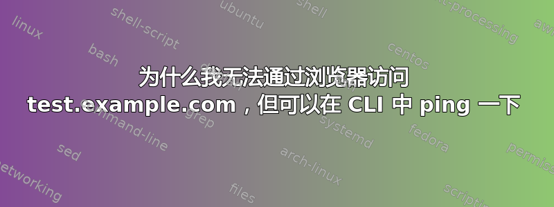 为什么我无法通过浏览器访问 test.example.com，但可以在 CLI 中 ping 一下