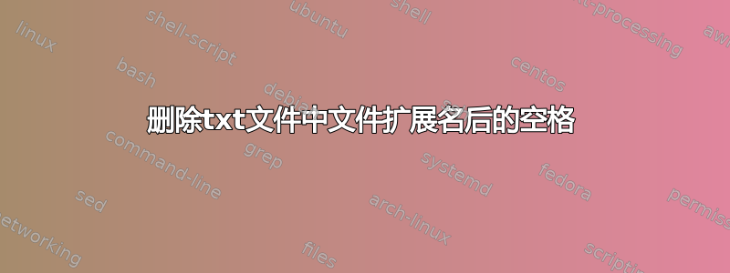 删除txt文件中文件扩展名后的空格