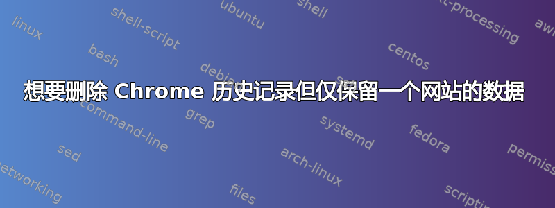 想要删除 Chrome 历史记录但仅保留一个网站的数据