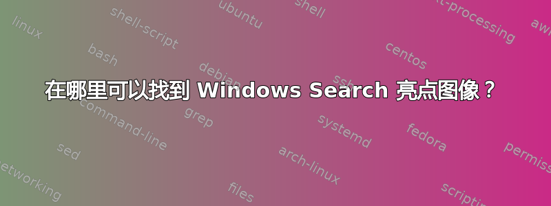 在哪里可以找到 Windows Search 亮点图像？