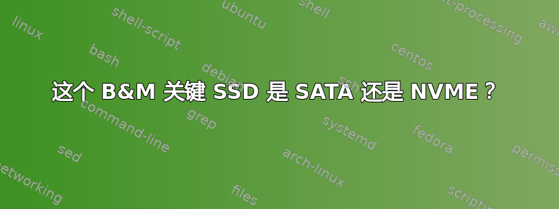 这个 B&M 关键 SSD 是 SATA 还是 NVME？