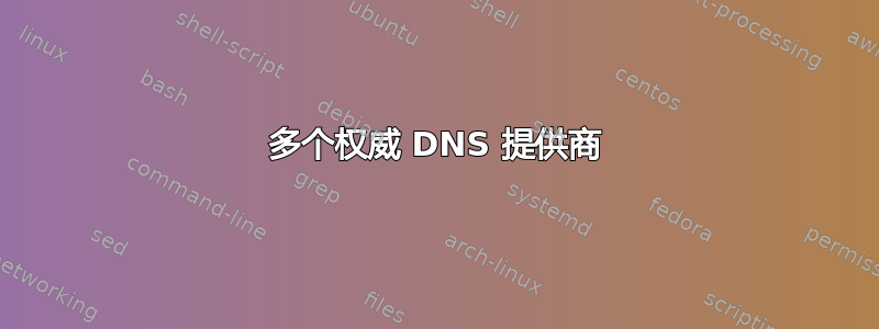 多个权威 DNS 提供商