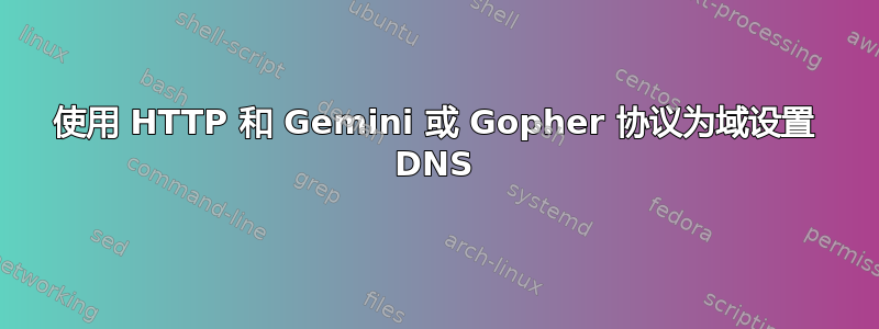 使用 HTTP 和 Gemini 或 Gopher 协议为域设置 DNS