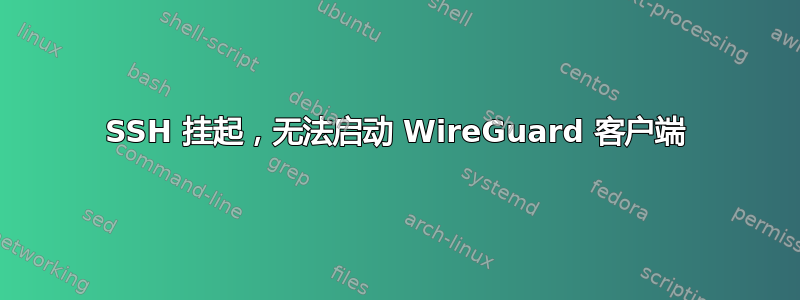 SSH 挂起，无法启动 WireGuard 客户端