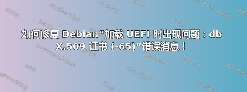 如何修复 Debian“加载 UEFI 时出现问题：db X.509 证书 (-65)”错误消息！