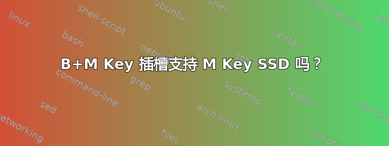 B+M Key 插槽支持 M Key SSD 吗？