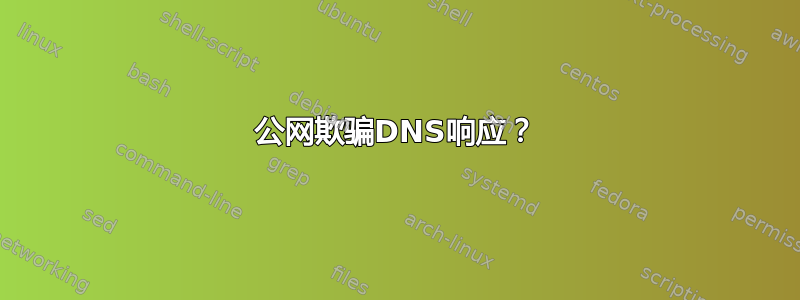 公网欺骗DNS响应？