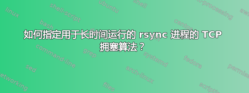 如何指定用于长时间运行的 rsync 进程的 TCP 拥塞算法？