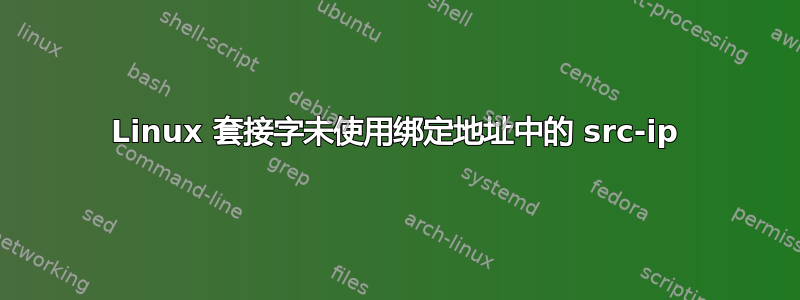 Linux 套接字未使用绑定地址中的 src-ip