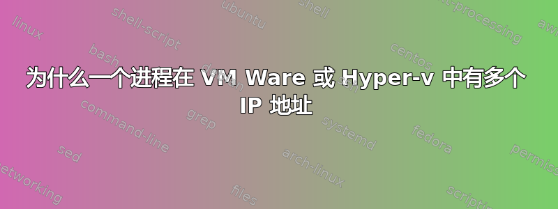 为什么一个进程在 VM Ware 或 Hyper-v 中有多个 IP 地址