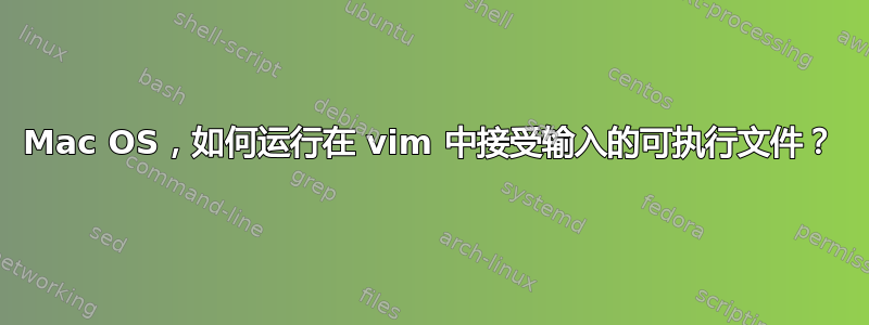 Mac OS，如何运行在 vim 中接受输入的可执行文件？