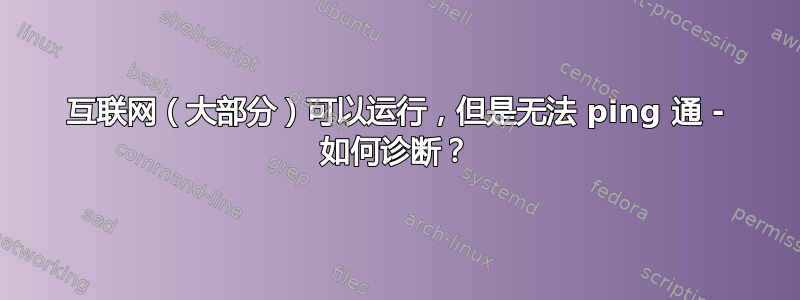 互联网（大部分）可以运行，但是无法 ping 通 - 如何诊断？