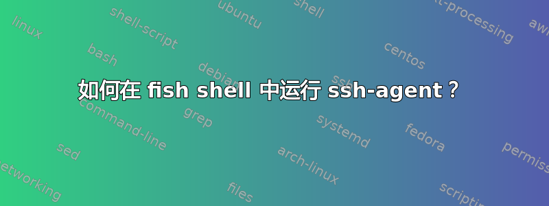 如何在 fish shell 中运行 ssh-agent？